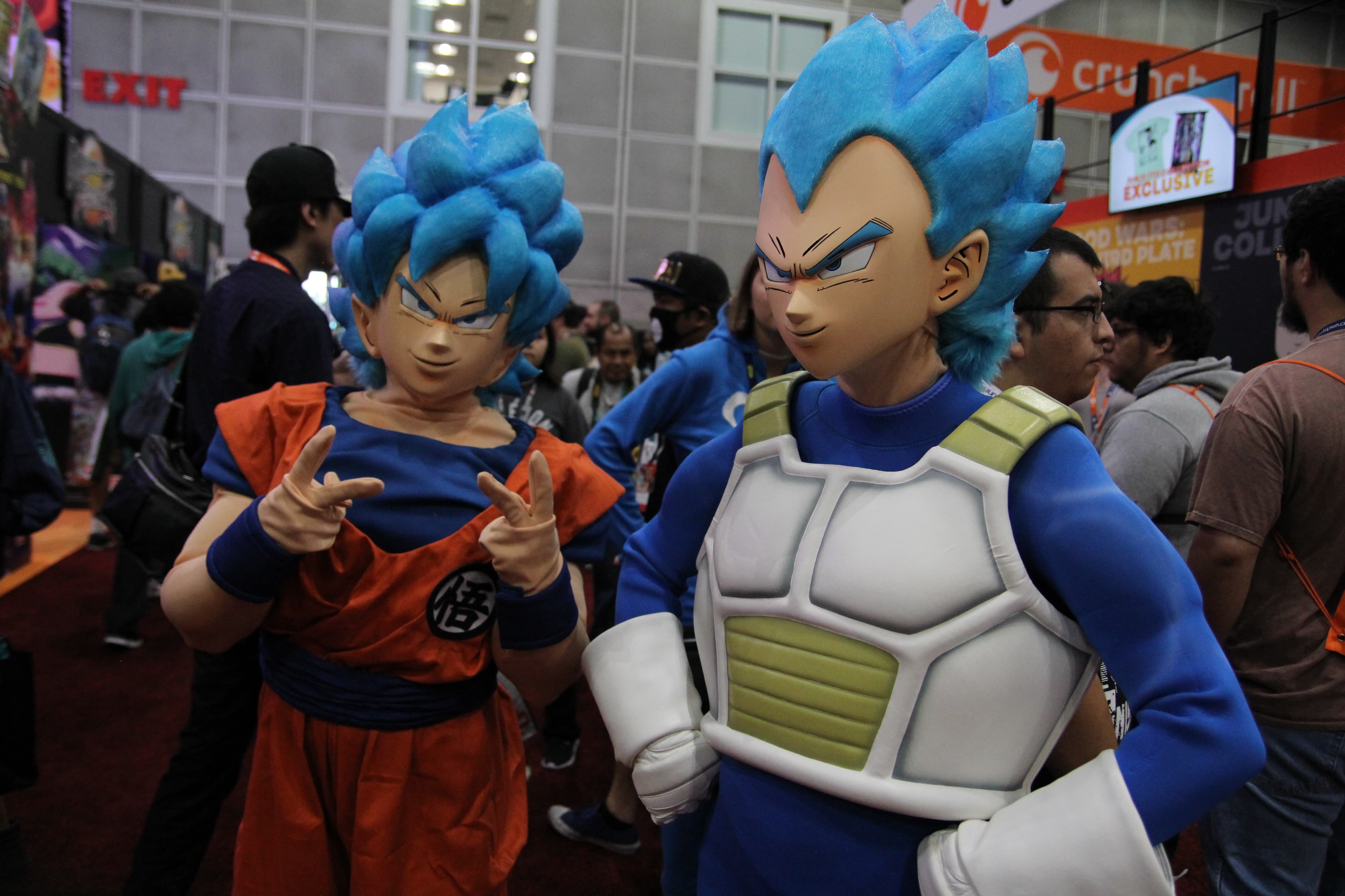 Anime — popular animated series