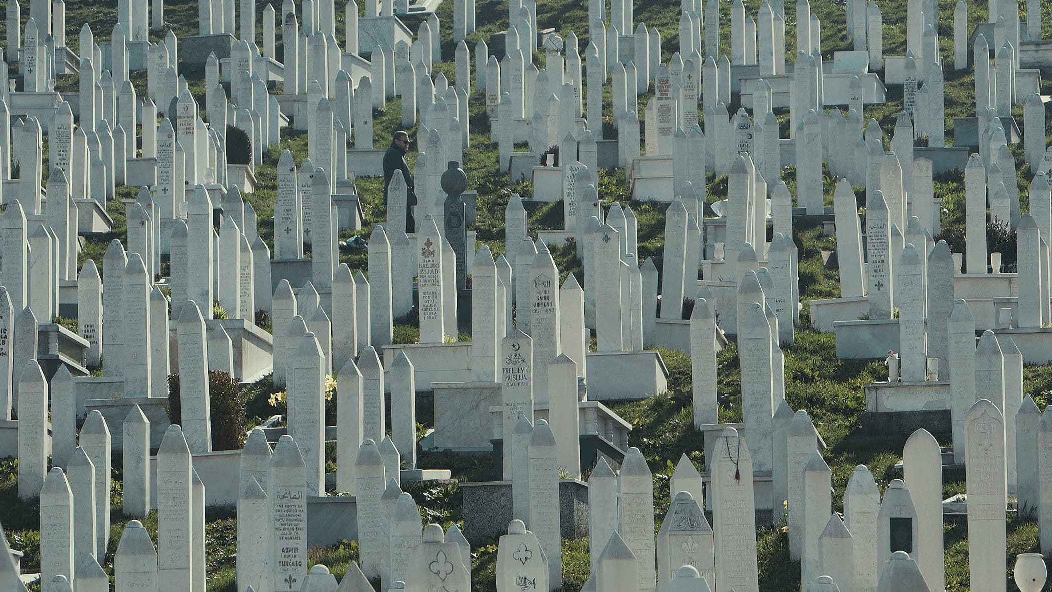 Documentaries — real-world stories