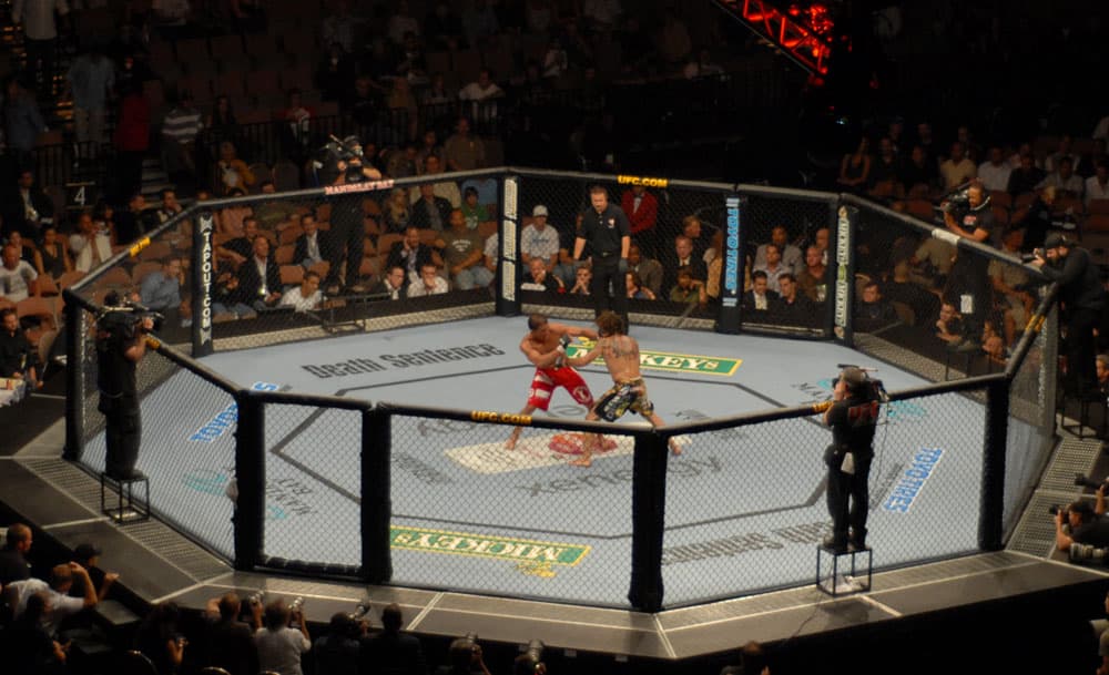 UFC — MMA fight in the octagon